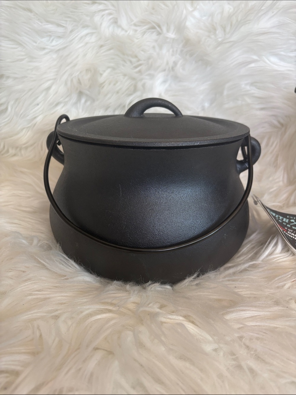 Black Cast Iron Cauldron with Lid and Handle - Home Accents